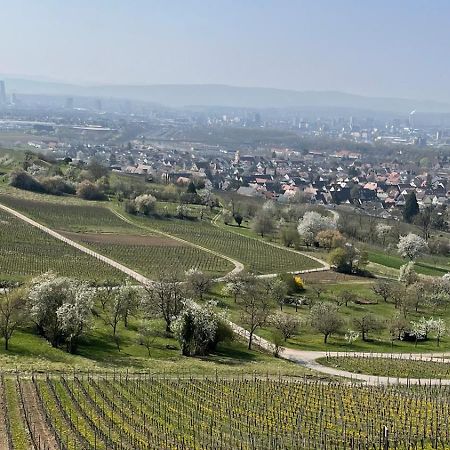 Landgasthof Rebstock Weil Am Rhein / Basel Otel Dış mekan fotoğraf