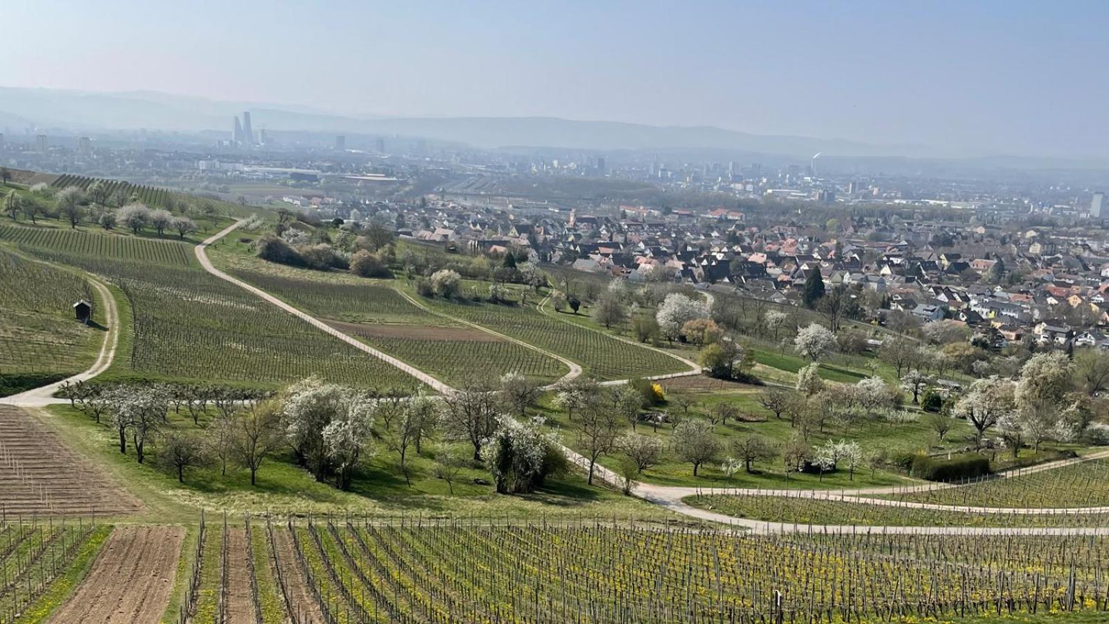 Landgasthof Rebstock Weil Am Rhein / Basel Dış mekan fotoğraf