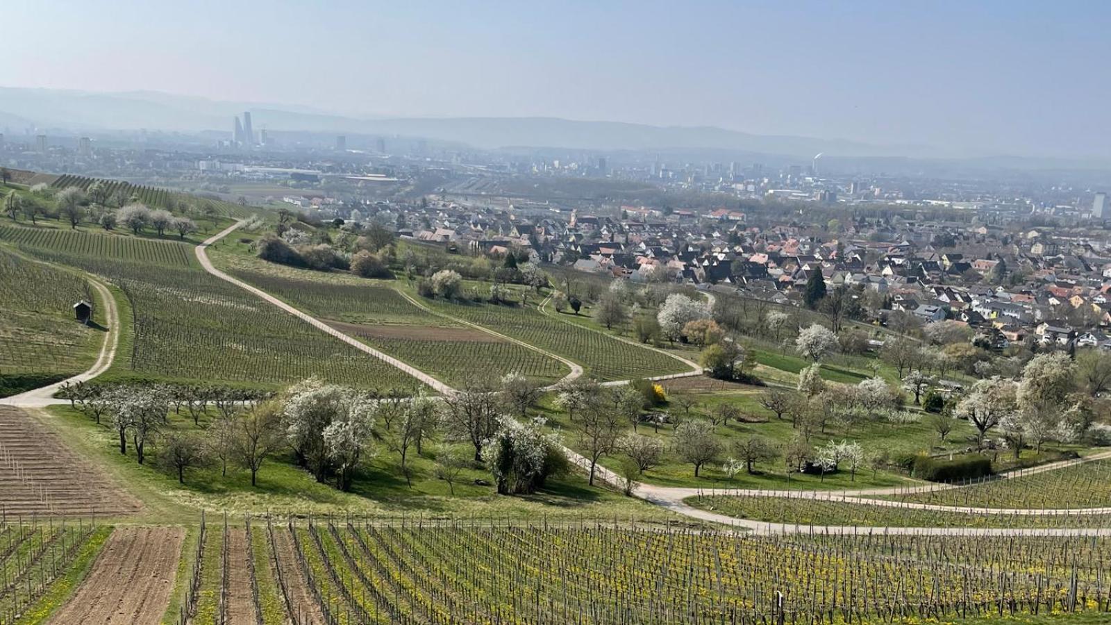 Landgasthof Rebstock Weil Am Rhein / Basel Otel Dış mekan fotoğraf